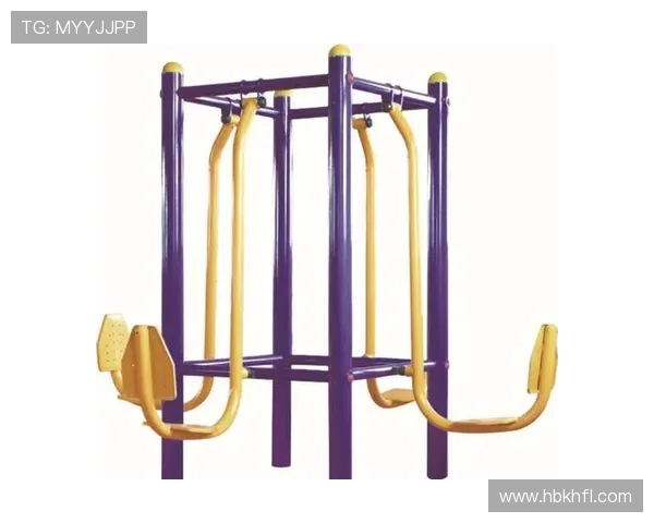 盐山健身器材：盐山地区健身器材品牌与产品特点