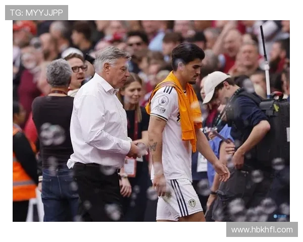 英超西布朗主教练是哪国人？背景与履历解析