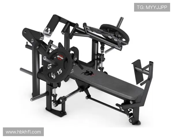 高端健身器材批发：提升健身体验的优质选择